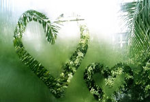 江苏苏宁遭遇鲁能绝杀，遭遇两连败