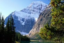 啄木鸟队面临关键比赛，全队备战积极